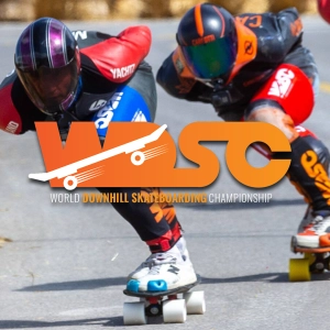 World Downhill Skating Championship