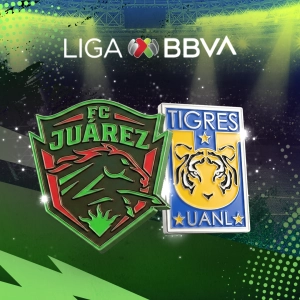Tigres UANL vs. Puebla Liga MX