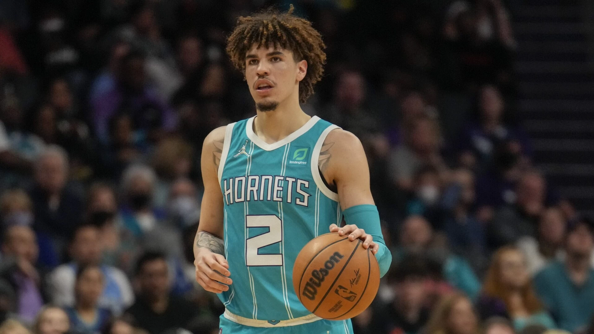 Aside From LaMelo Ball, What is Exciting About the Hornets?