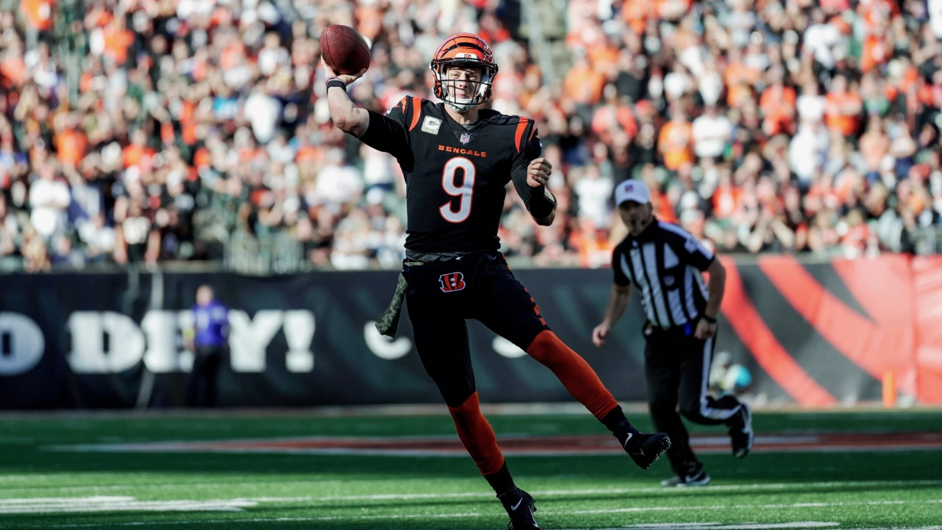 Can the Bengals Win the AFC North and 14 Games This Season?