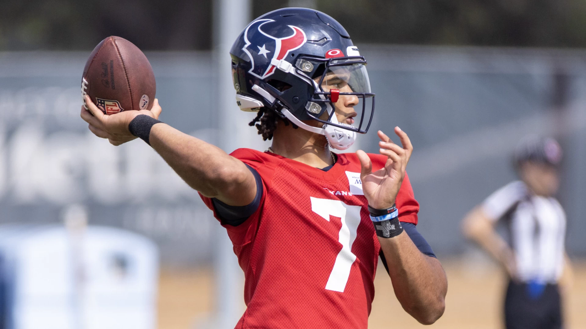 How Many Wins Equal Success for the Houston Texans?