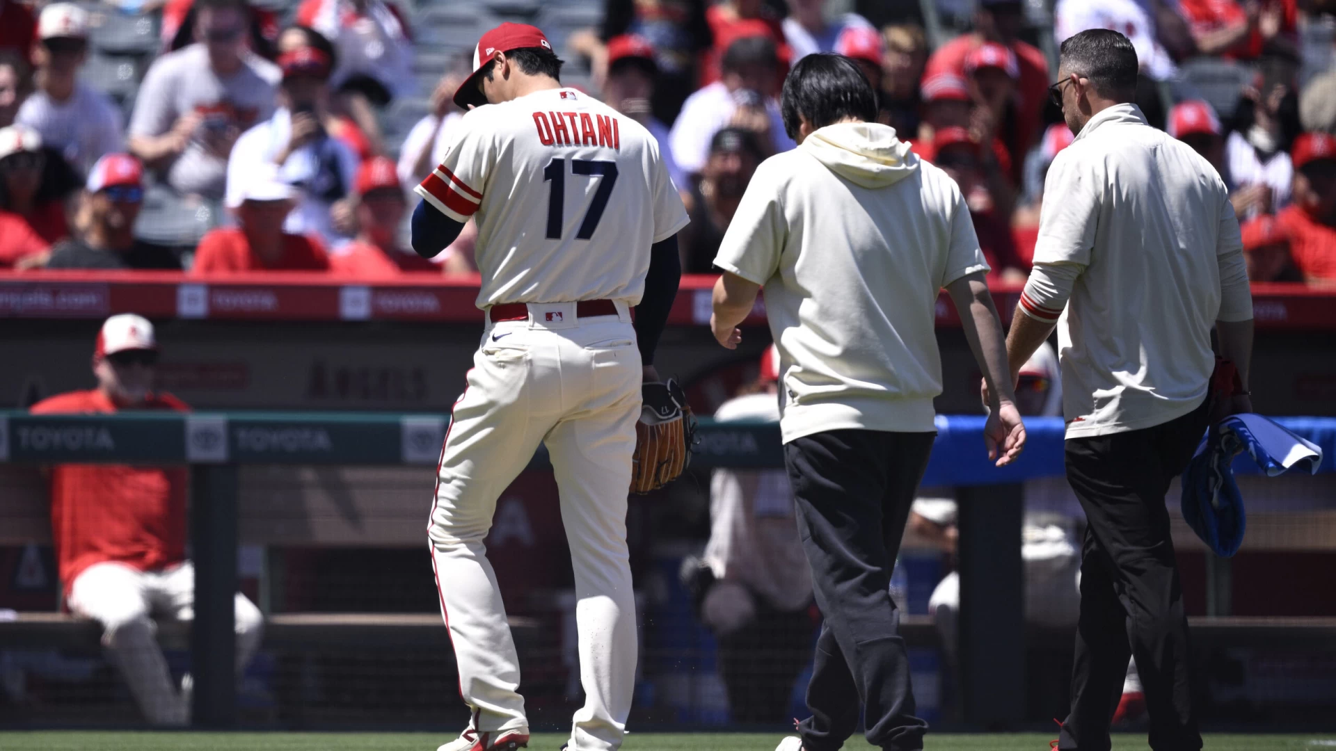 Did the Angels Make a Mistake Not Trading Shohei Ohtani Last Year?