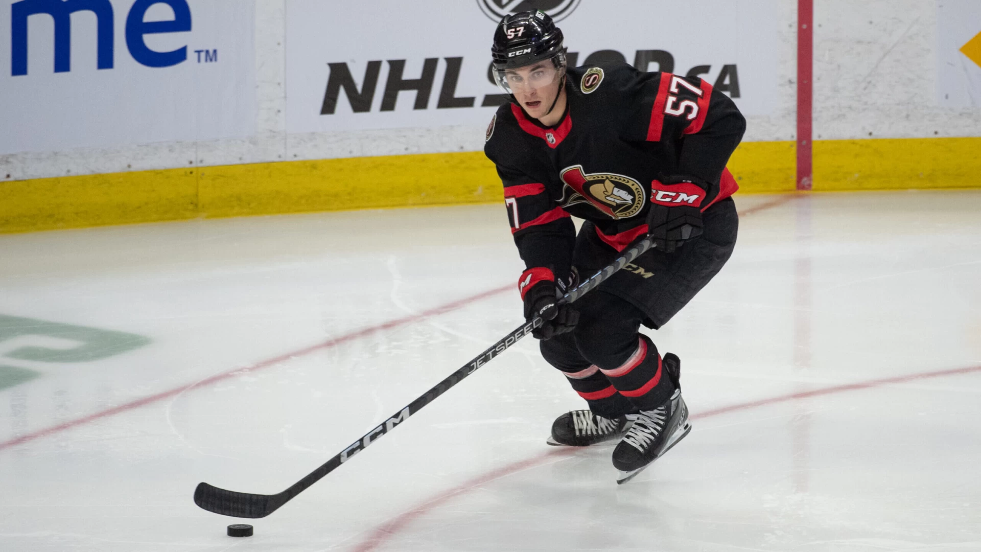 Shane Pinto Suspension: Betting Allegations Rock Senators