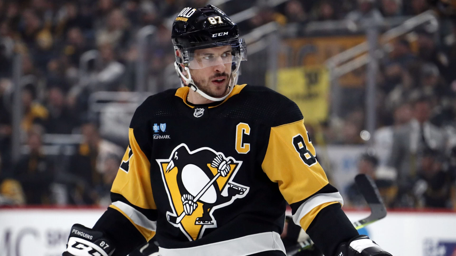 SportsGrid NHL Model Picks for Saturday, November 25