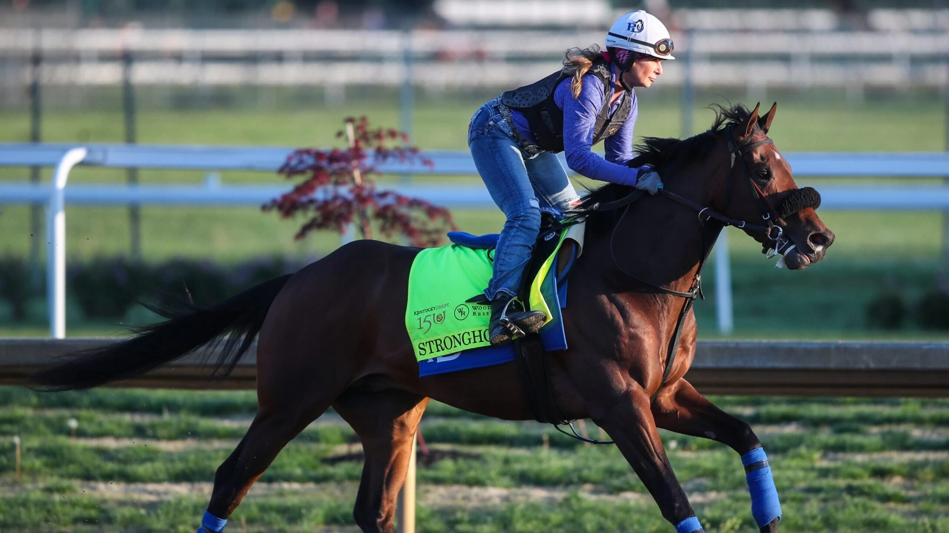 Meet Stronghold: Our Dark Horse Betting Pick of the 2024 Kentucky Derby