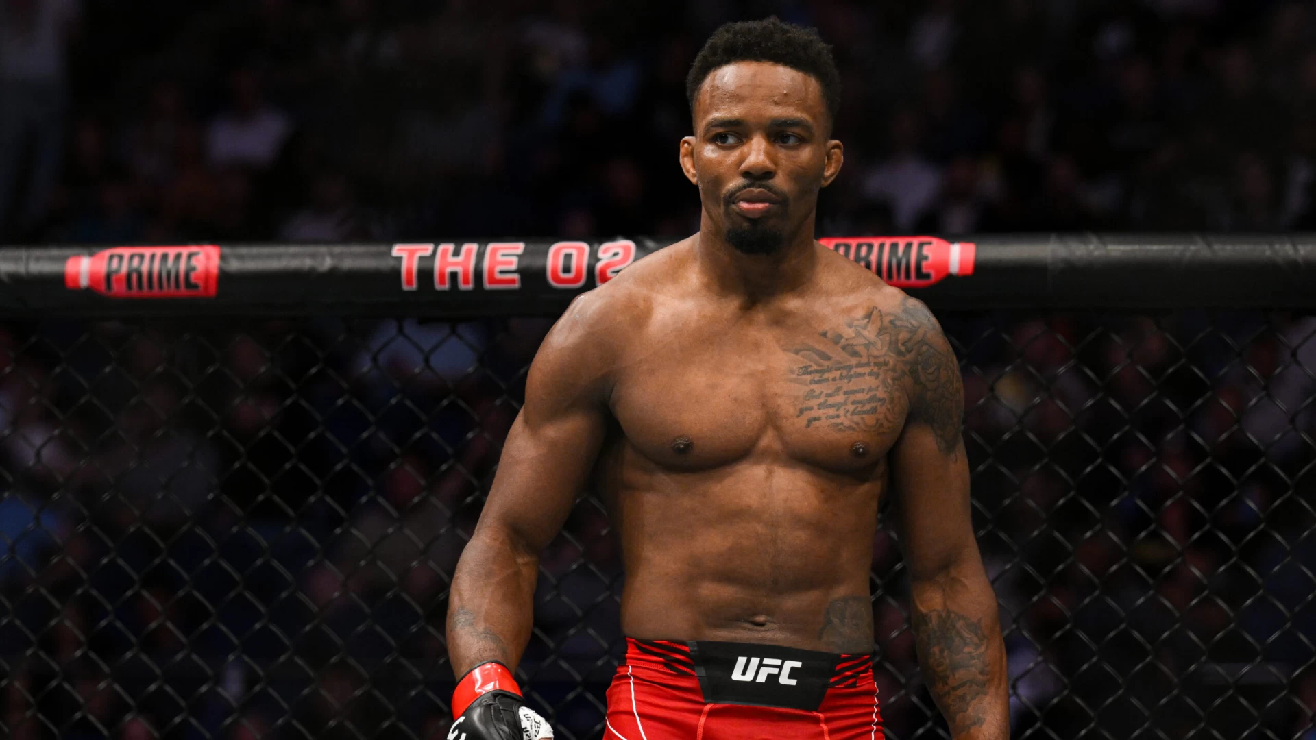 UFC Fight Night 241: Edson Barboza vs. Lerone Murphy Preview & Best Bets