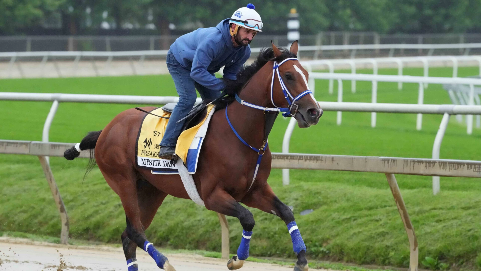 Mystik Dan Favored in Preakness Stakes After Muth Scratch