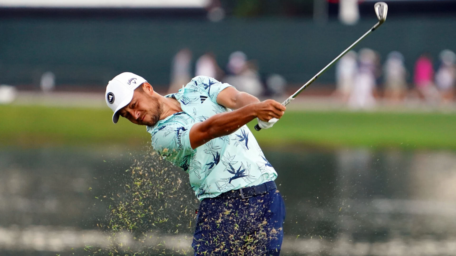 Where to Watch the 2024 PGA TOUR Championship: TV and Streaming Guide