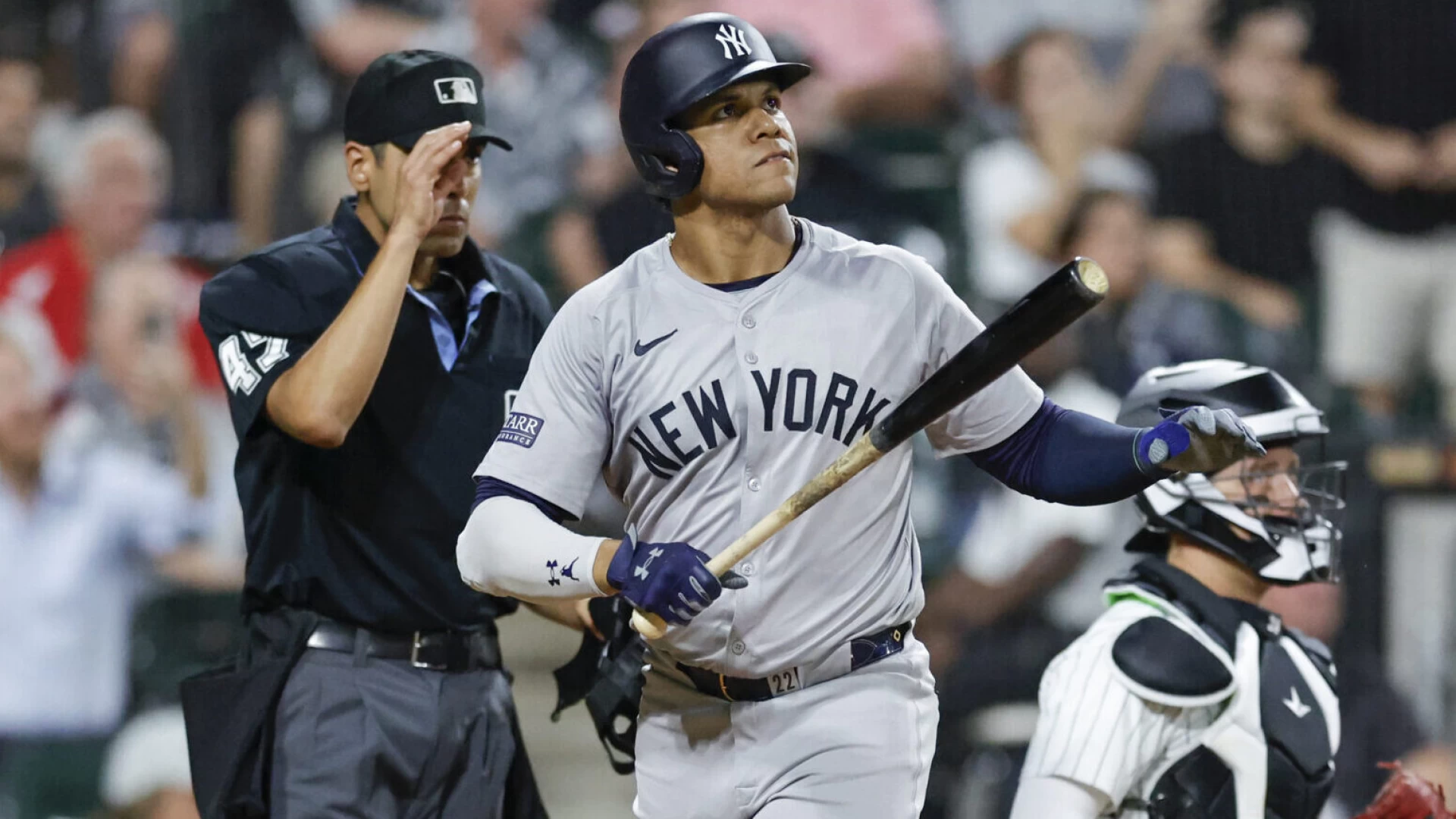 Top MLB Free Agents for 2025 Best Players at Every Position