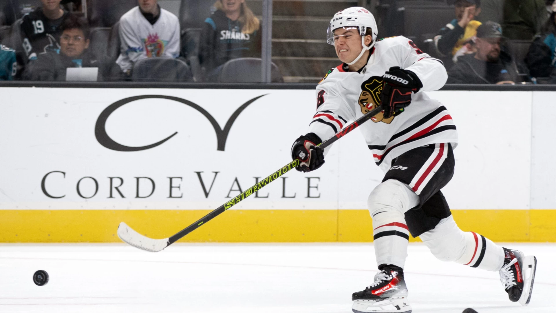 How to Watch NHL on TNT: Detroit Red Wings vs Chicago Blackhawks