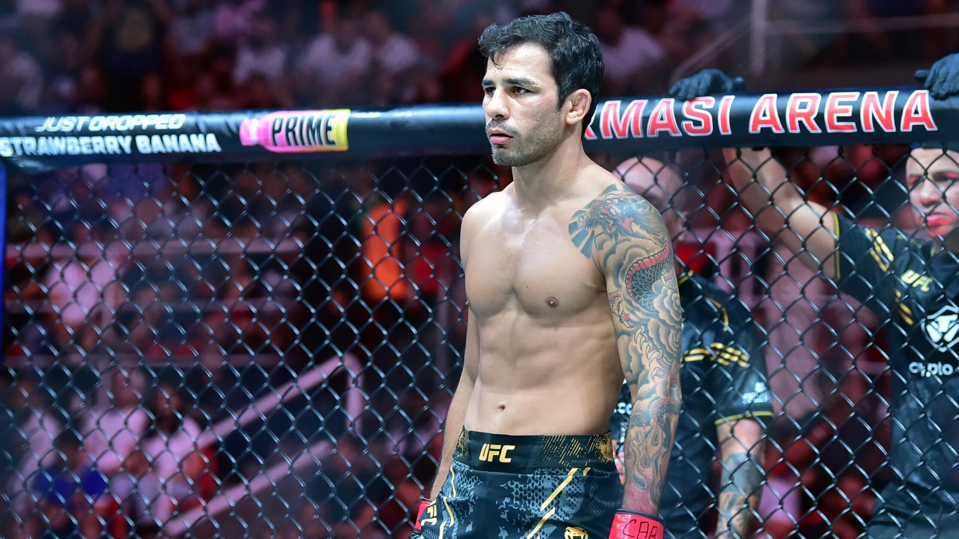UFC 310: Alexandre Pantoja vs Kai Asakura Predictions | UFC Picks Today, Best Bets