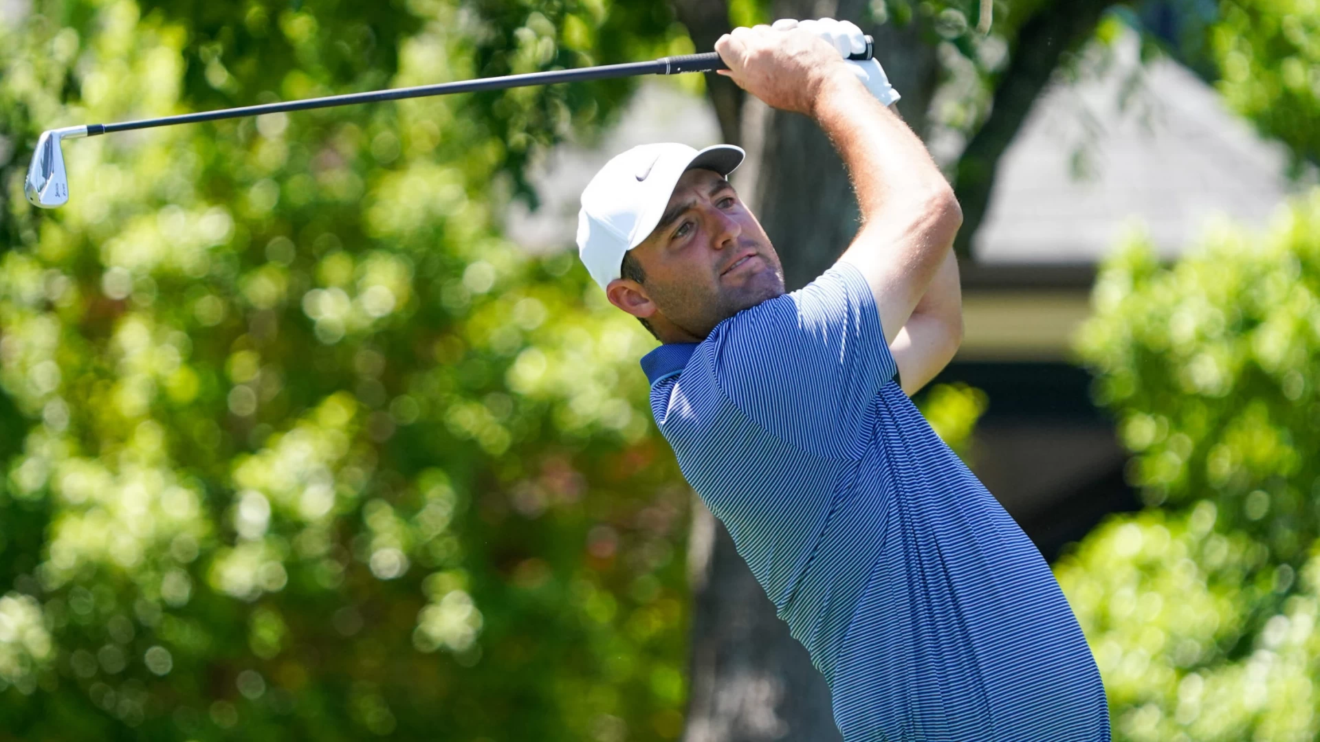 2025 PGA Championship Trends: Scheffler, McIlroy and Thomas Popular Plays