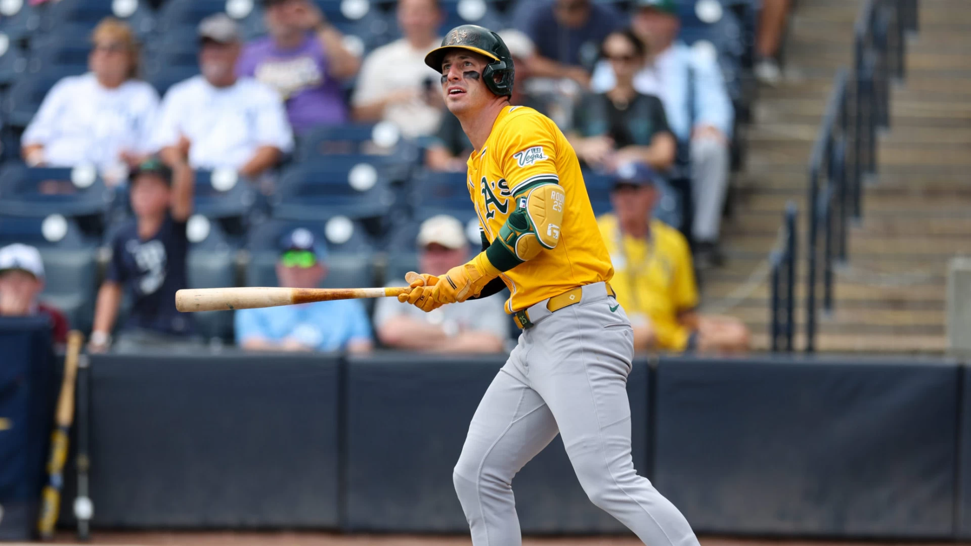 2025 MLB Home Run Derby Betting Trends: Highest Ticket and Handle