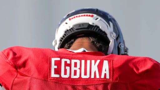 NFL: NFC South Breakout Players for the 2025 Football Season
