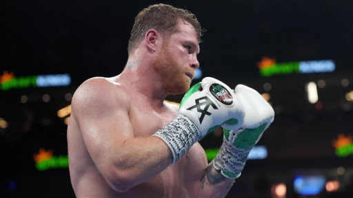 How to Watch Netflix's Canelo vs Crawford: Complete Viewing Guide, Odds and Full Fight Card