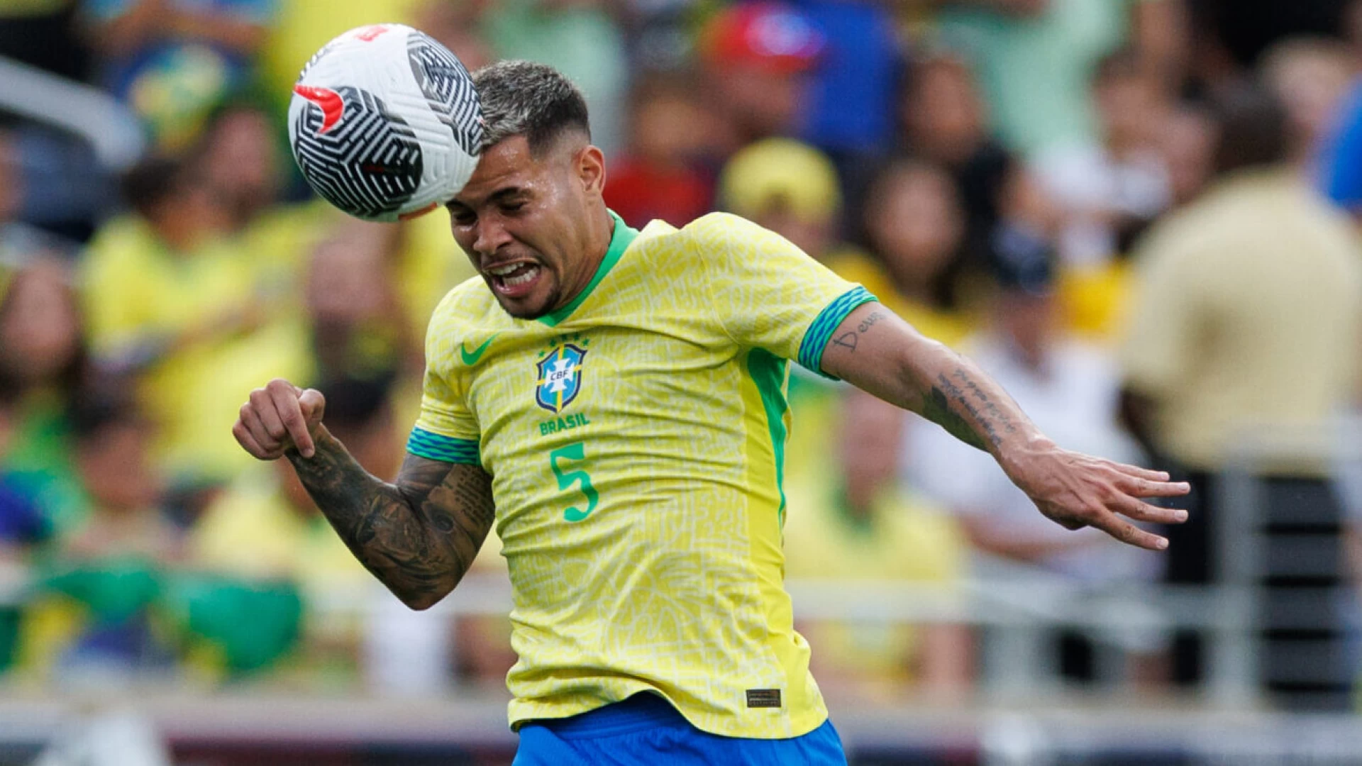 Newcastle United vs. FK Qarabag Recap: Early Tonali and Joelinton Strikes Secure Progress