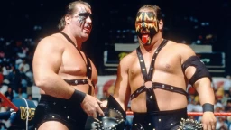 5 Things You May Not Know About New WWE Hall of Famers Demolition