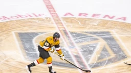 Golden Knights look to rebound to close out homestand against Mammoth