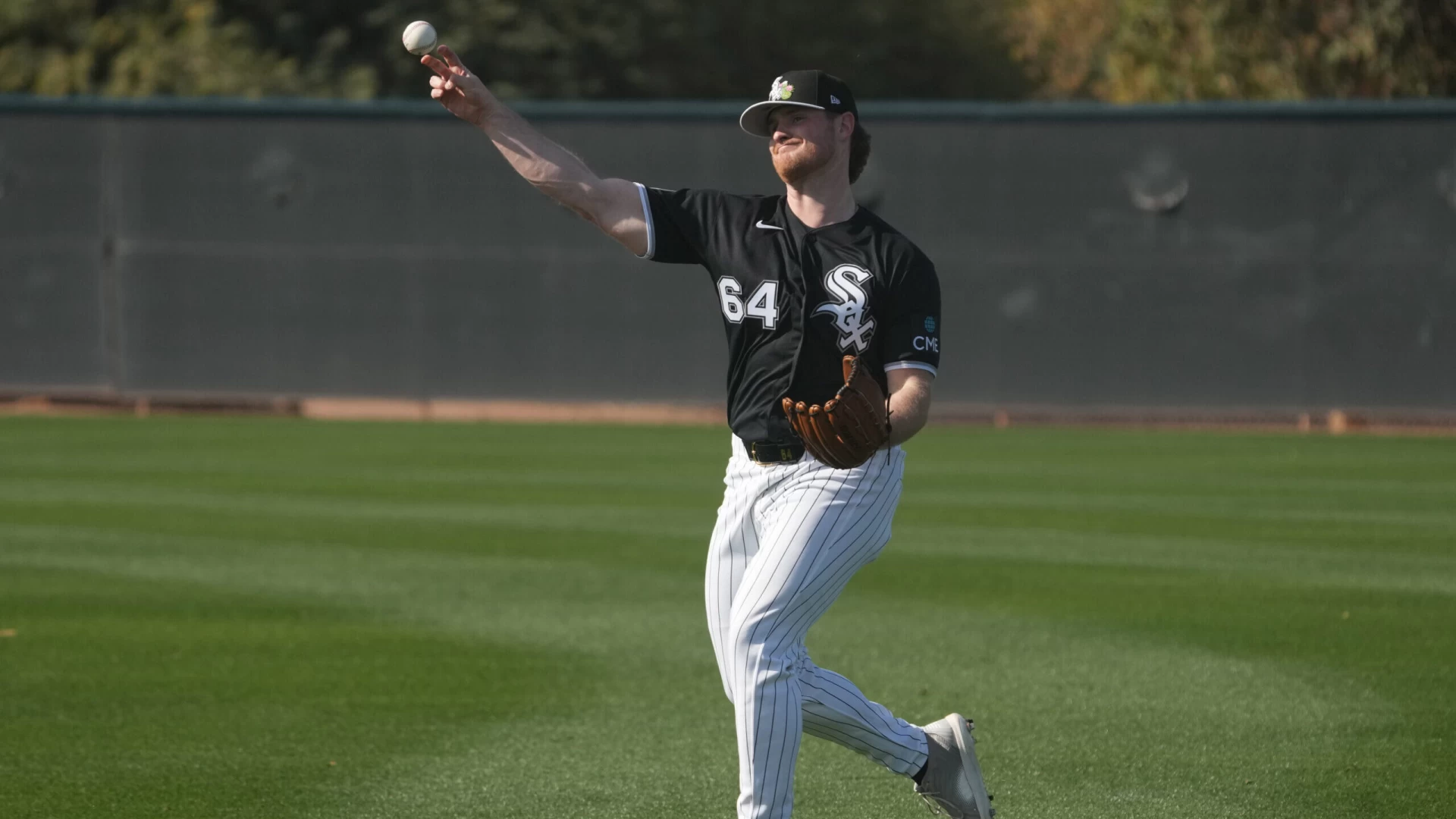 White Sox Roster Is Taking Shape Ahead of Opening Day
