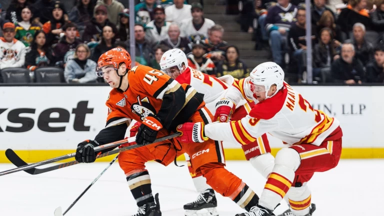 Ducks caught looking by Flames, lose fifth straight in tight playoff push