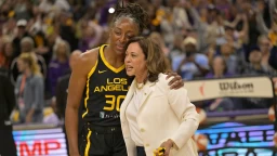 Sparks free agent profile: Nneka Ogwumike