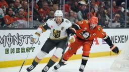 VGKnow Your Enemy: Anaheim Ducks