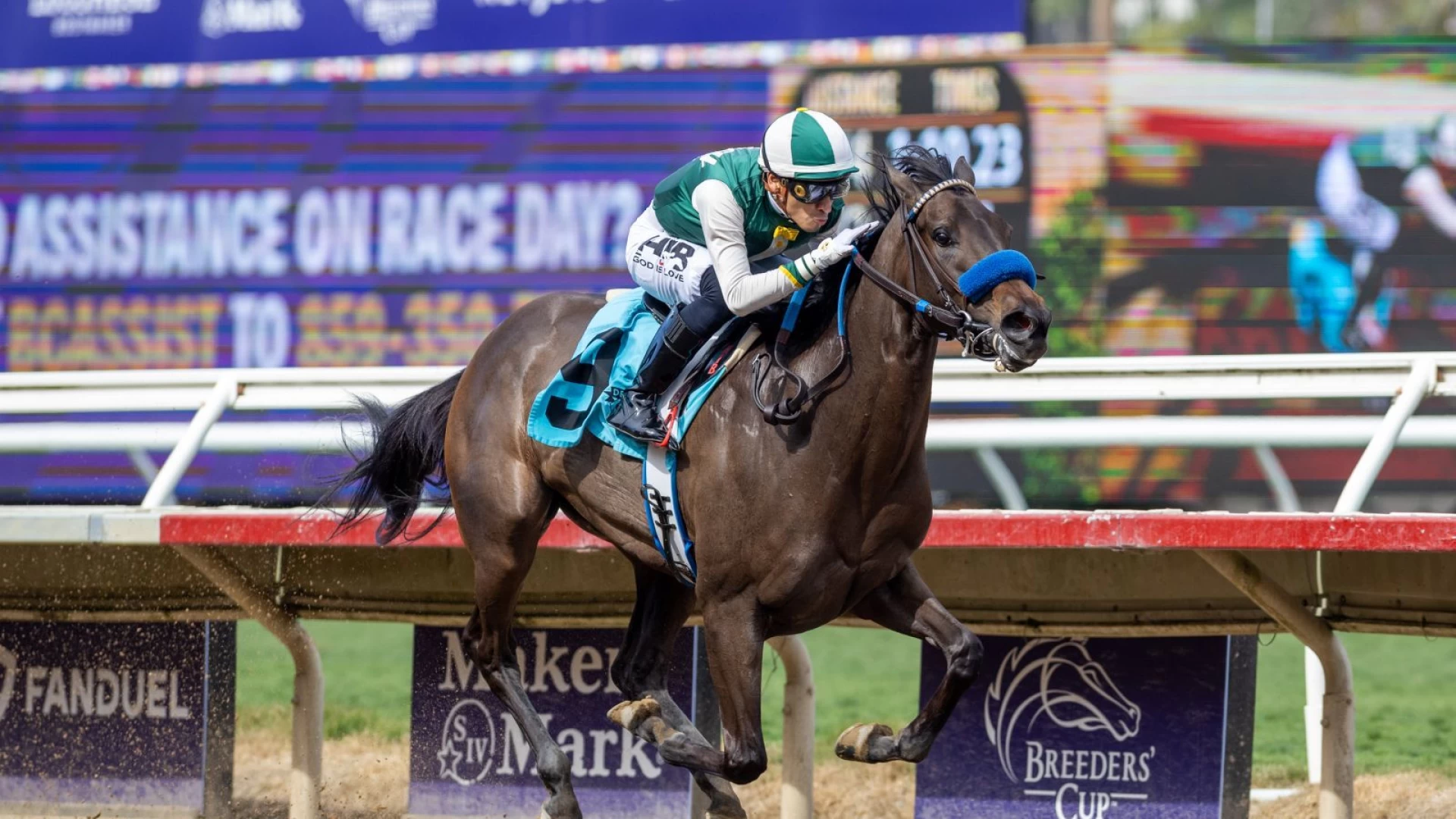 Santa Anita Saturday: Gold Rush Features Cal-Breds