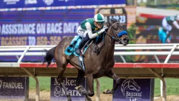 Santa Anita Saturday: Gold Rush Features Cal-Breds