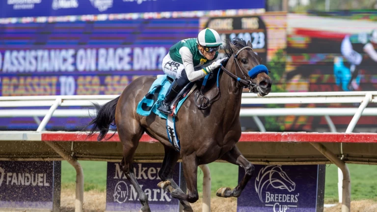Santa Anita Saturday: Gold Rush Features Cal-Breds
