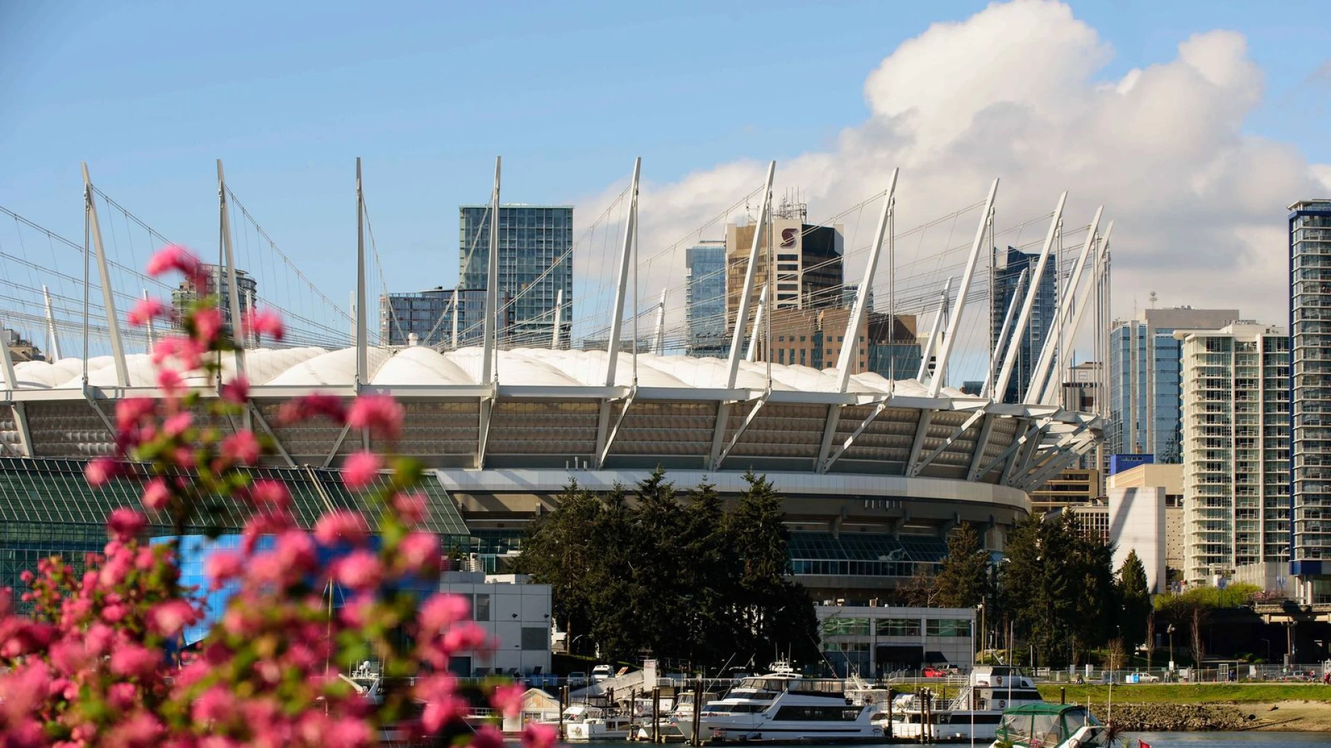 FIFA World Cup 2026 in Vancouver: Your Complete Travel Guide to BC Place, the Fan Festival, and the City