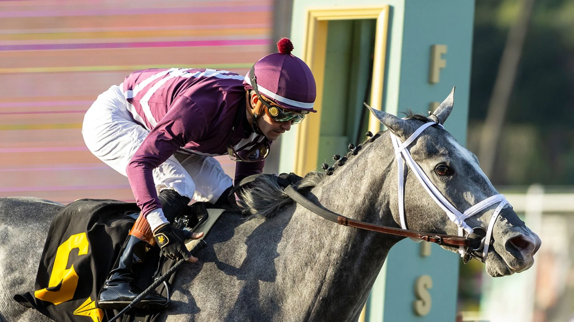 Racing Saturday: Sweet Azteca Returns