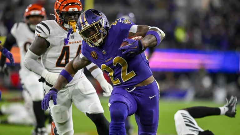 All AFC-North Division Team