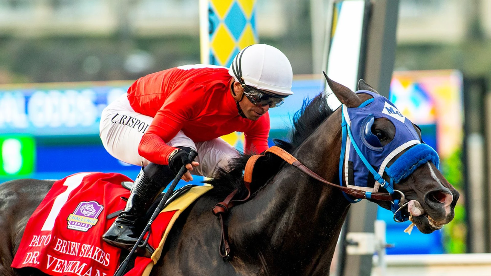 Del Mar: 6 Stakes Winners Collide in Grade 1 Bing Crosby
