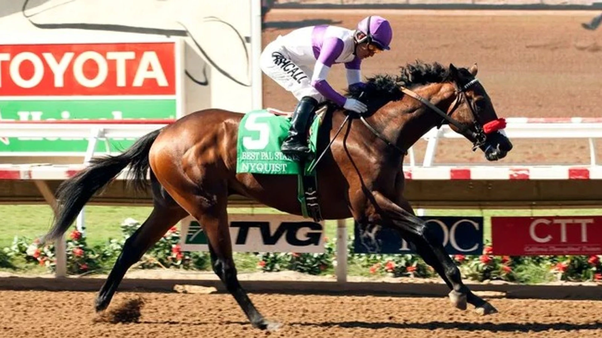 Del Mar: Top West Coast 2-year-olds Collide in Best Pal