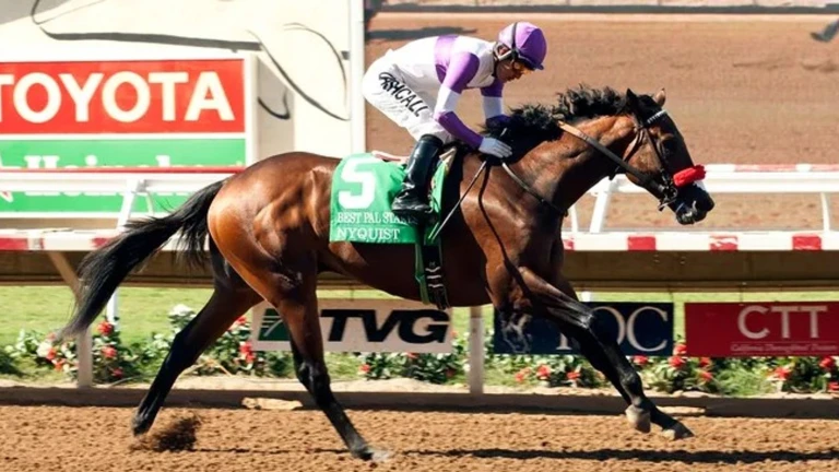 Del Mar: Top West Coast 2-year-olds Collide in Best Pal