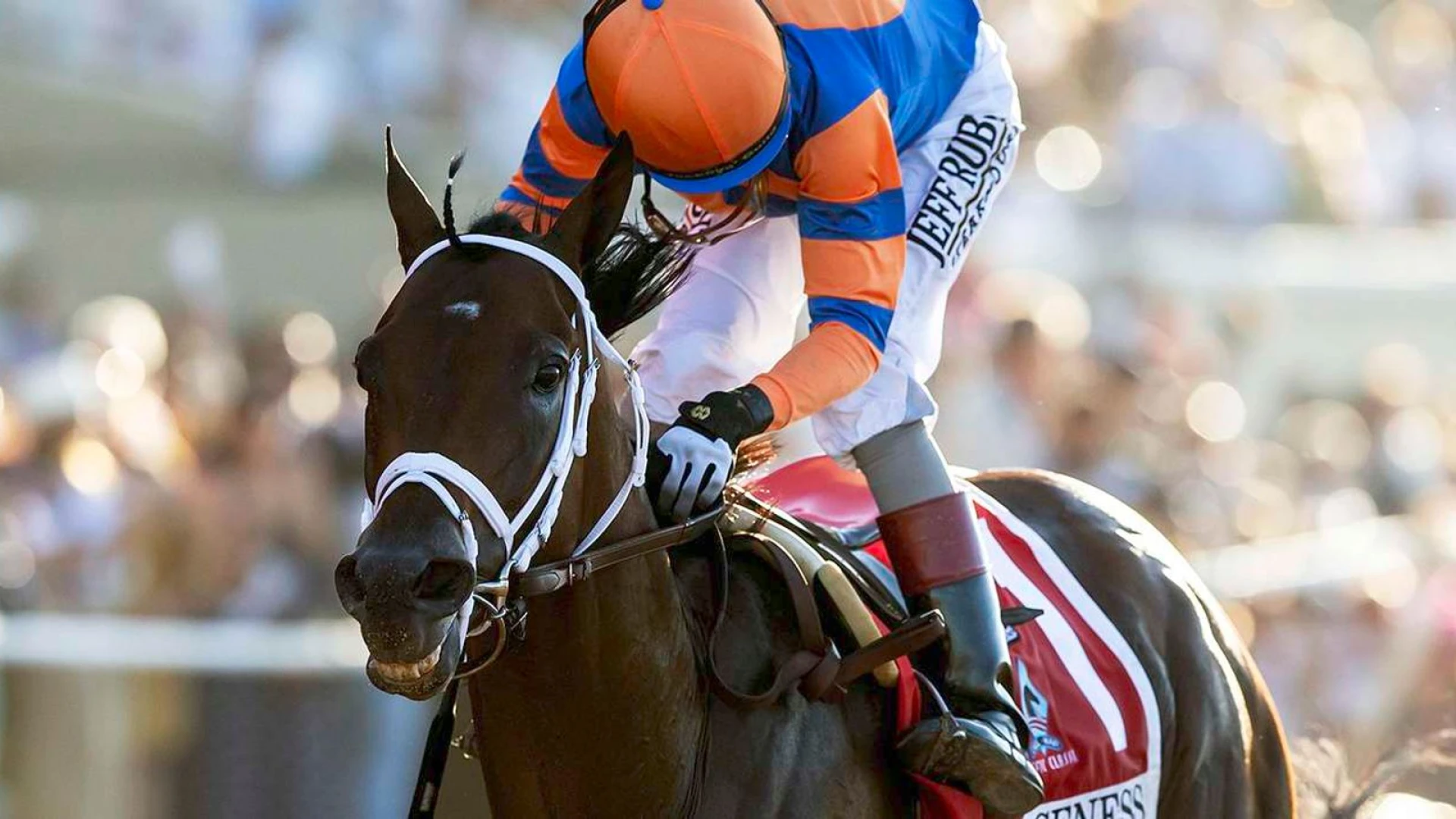 Del Mar: Pacific Classic Entices Great Field
