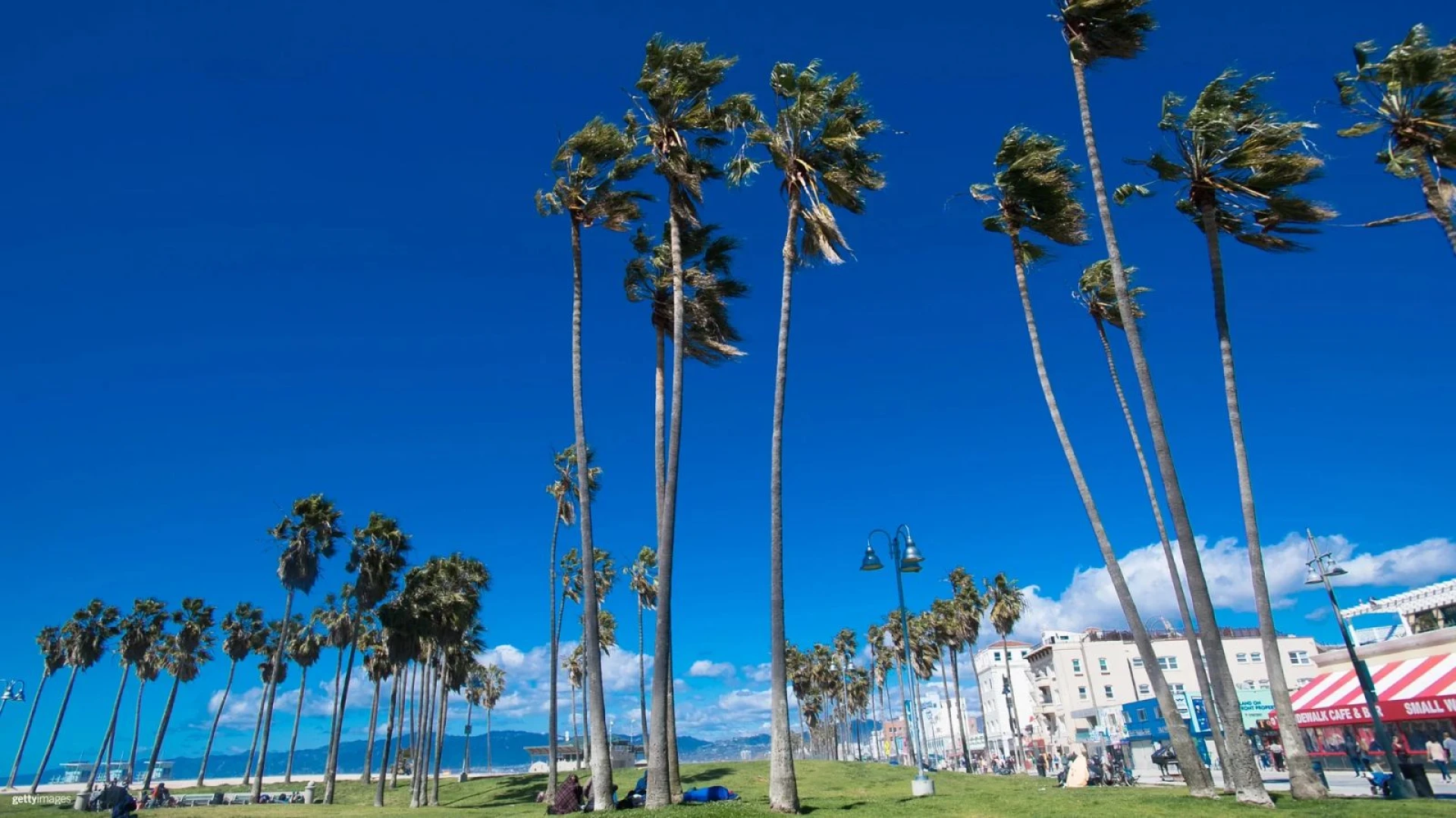 LA28 unveils Venice Beach triathlon courses, setting stage for Games’ first medals