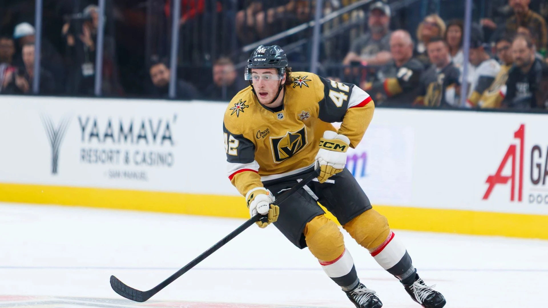 Knights see three-game win streak snapped in 6-2 loss to Lightning