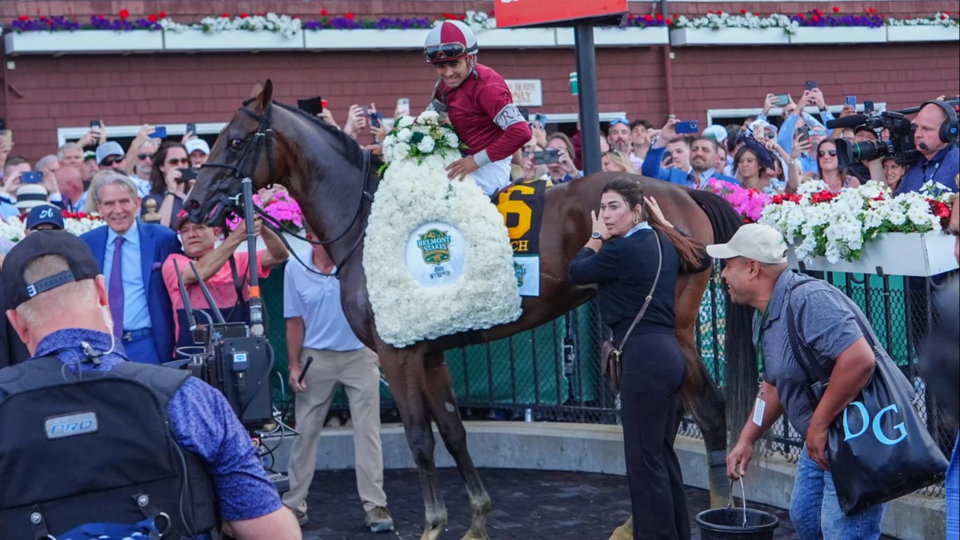 Del Mar Saturday Racing Guide: Picks for Top Horses