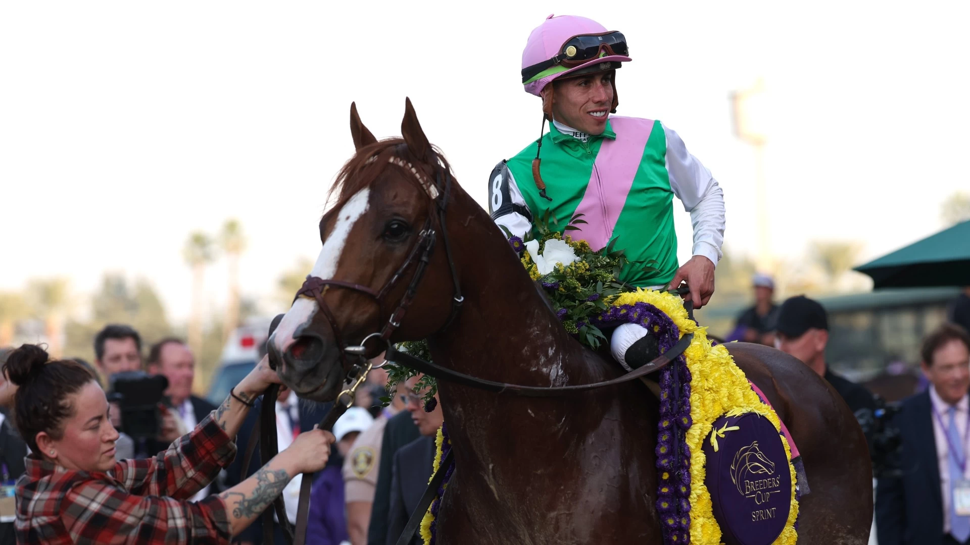 Insight into Santa Anita's Key Horse Races and Strategies