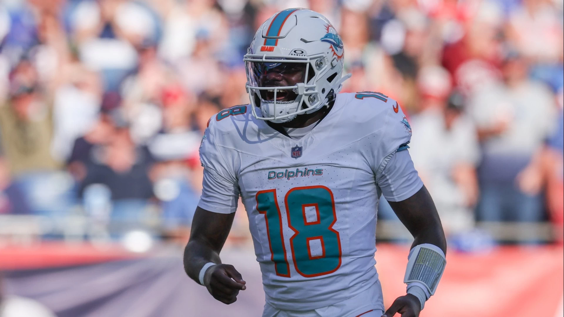 Dolphins Set for Success Against Cardinals in Crucial Game