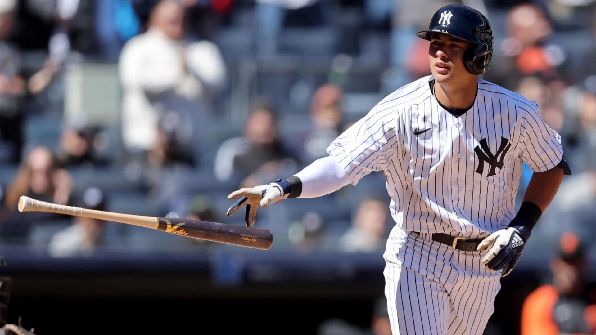 Yankees Triumph with Volpe's Grand Slam: Game Recap