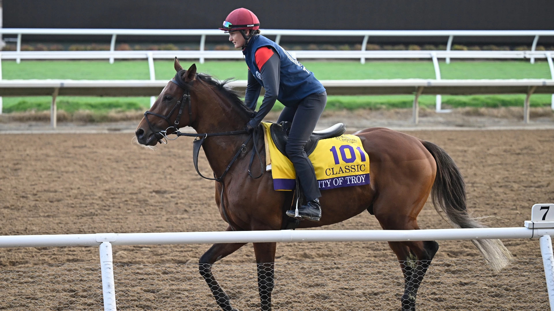 Breeders' Cup Big Race: $7 Million Prize and Top Contenders
