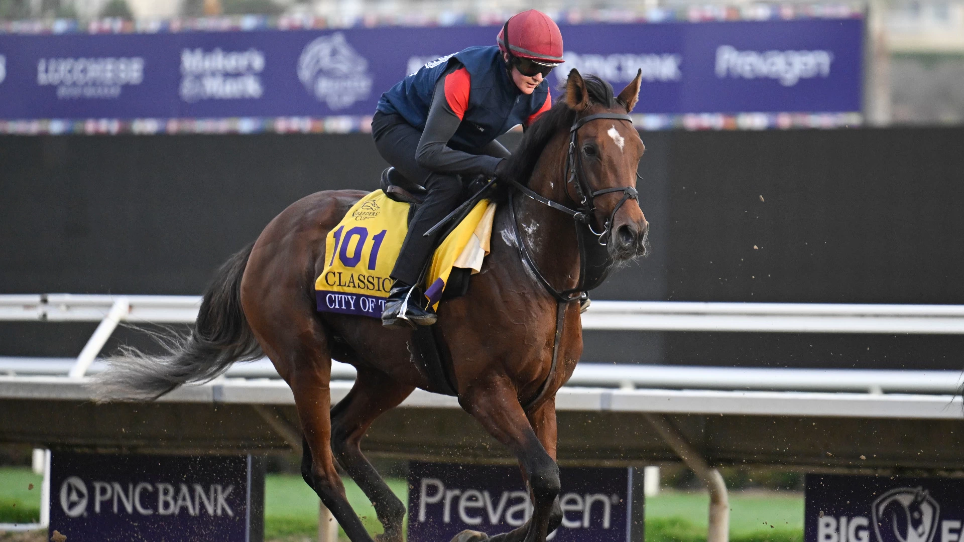 Top Picks for Breeders' Cup Classic & Other Key Races