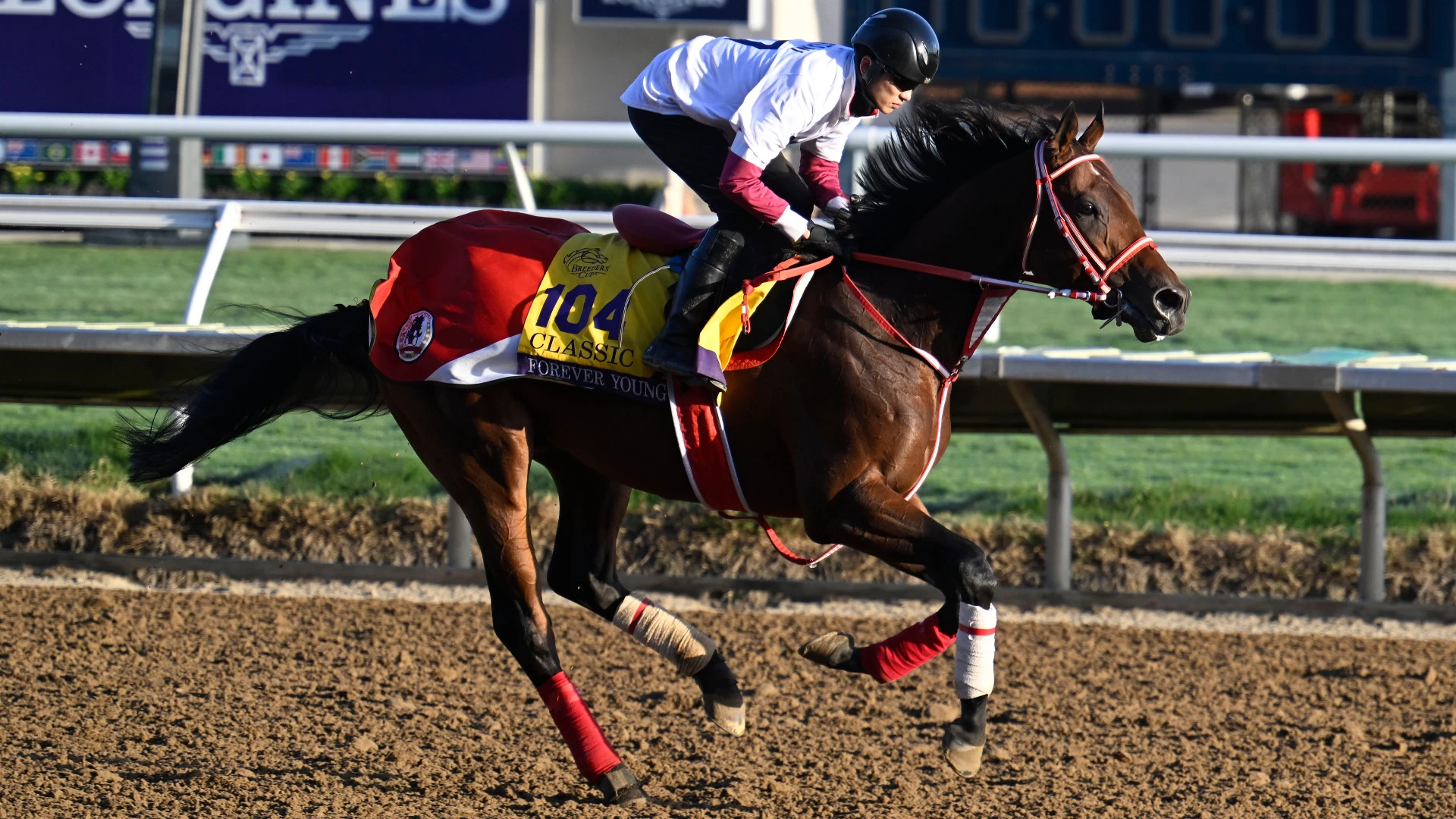 Forever Young: Top Contender in the Iconic Breeders 8th Race