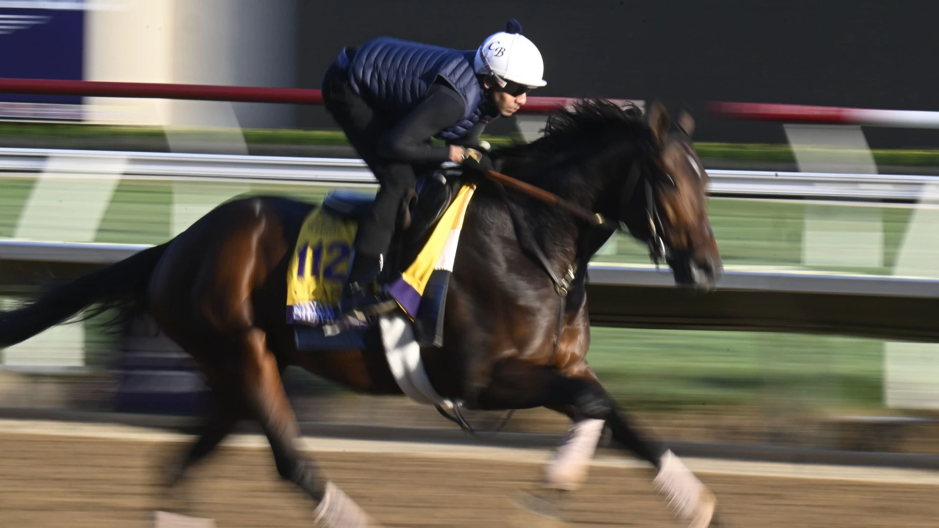 Previewing the Breeders' Cup Classic: Key Runners & Odds