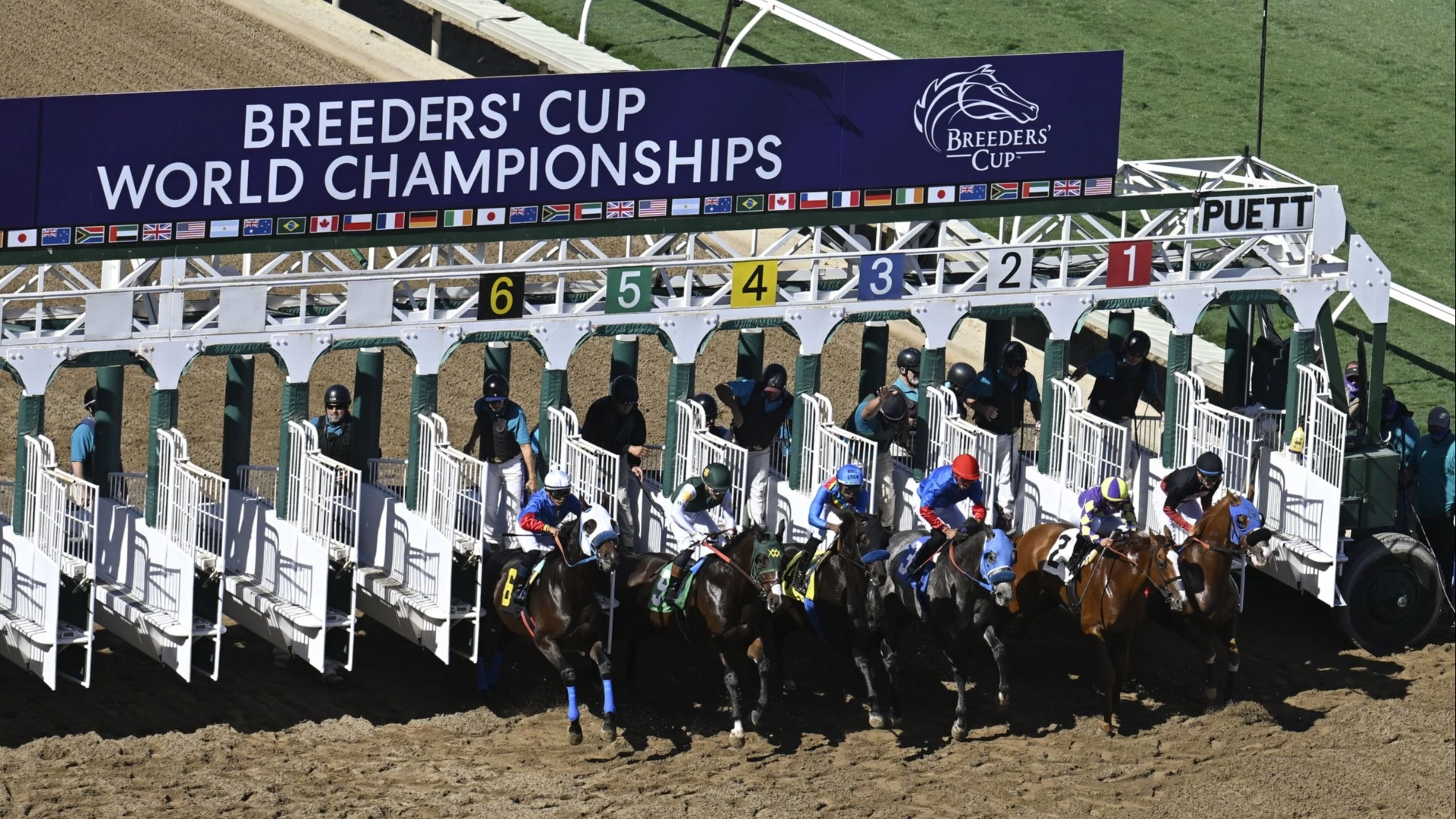 Key Picks and Insights for Breeders' Cup Classic and More