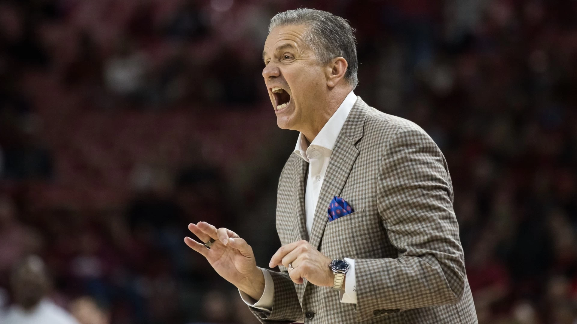 Tennessee & Arkansas Shine in Tonight's Sports Lineup