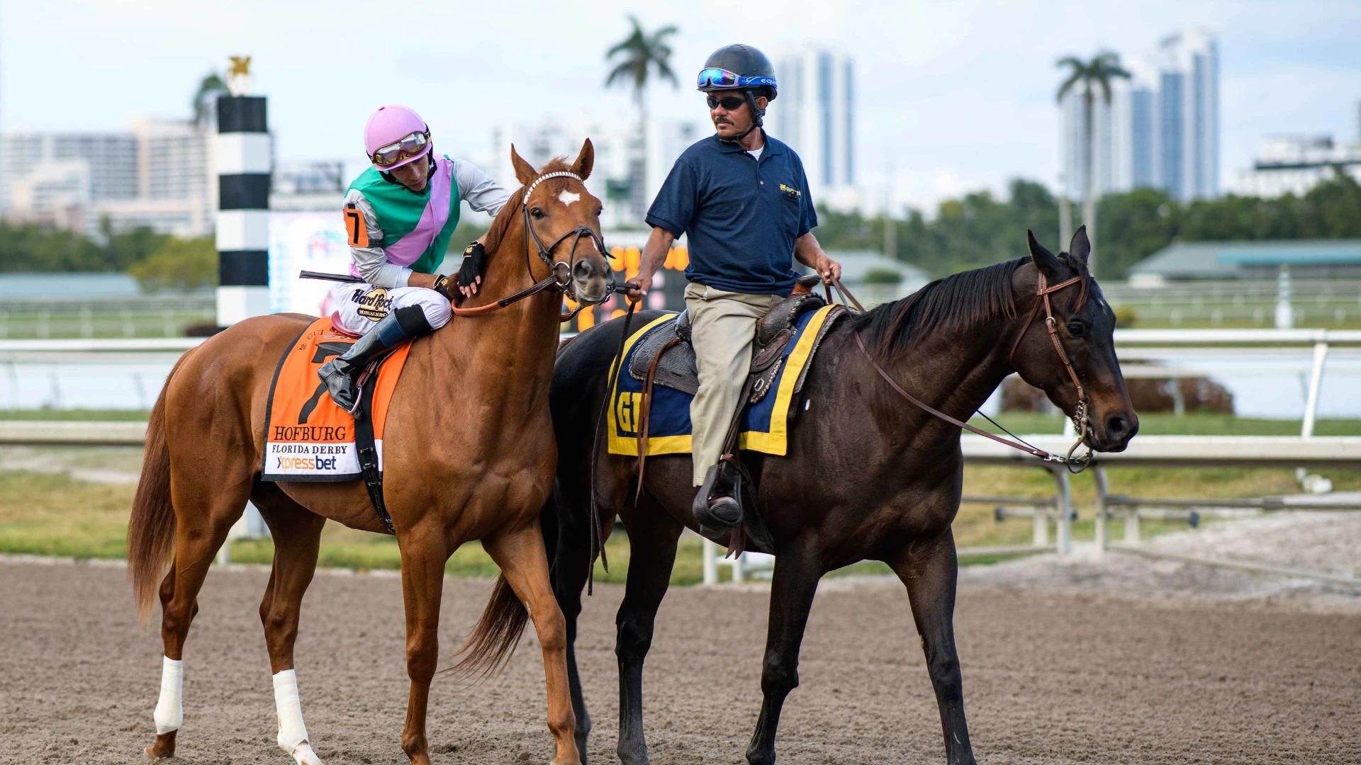 Expert Insights on Race 8 Picks and Predictions at Gulfstream