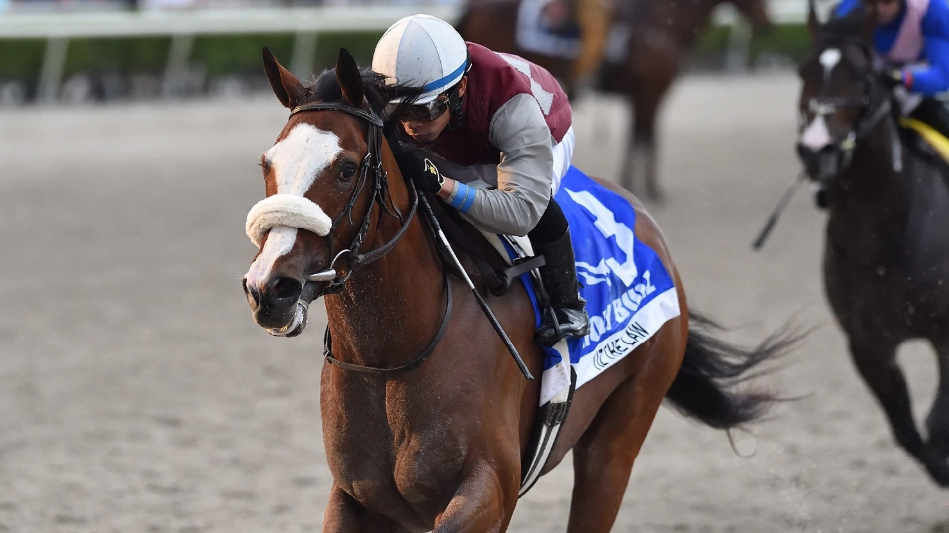 Previewing Gulfstream’s Sunshine Classic and Tampa Bay Stakes